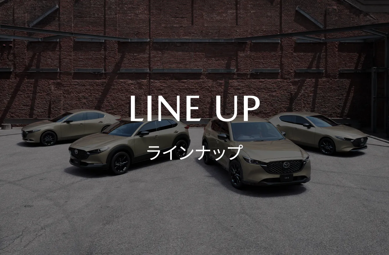 ラインナップ|LINE UP